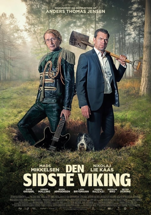 The Last Viking poster